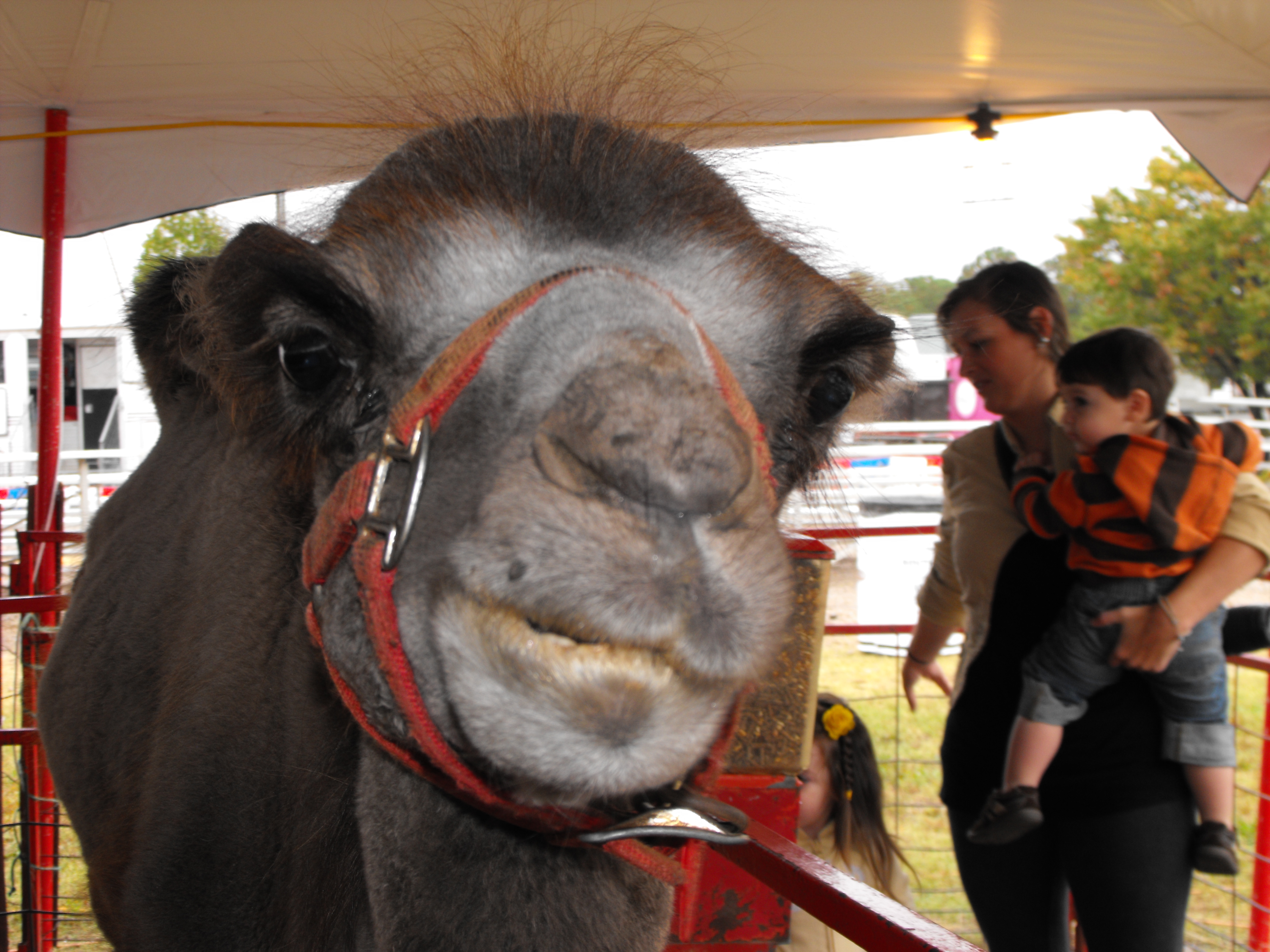 ./2011/State Fair/State Fair 1019 0005.JPG